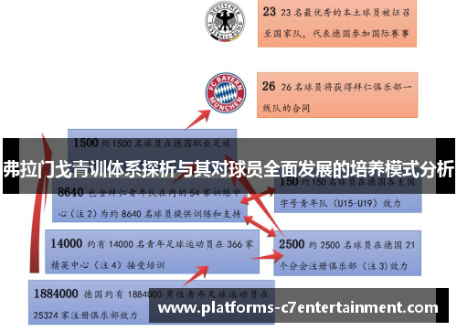 弗拉门戈青训体系探析与其对球员全面发展的培养模式分析