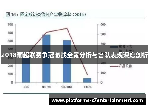 2018葡超联赛争冠激战全景分析与各队表现深度剖析