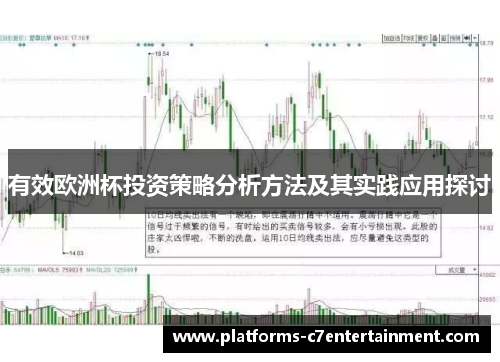 有效欧洲杯投资策略分析方法及其实践应用探讨