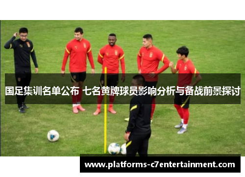 国足集训名单公布 七名黄牌球员影响分析与备战前景探讨