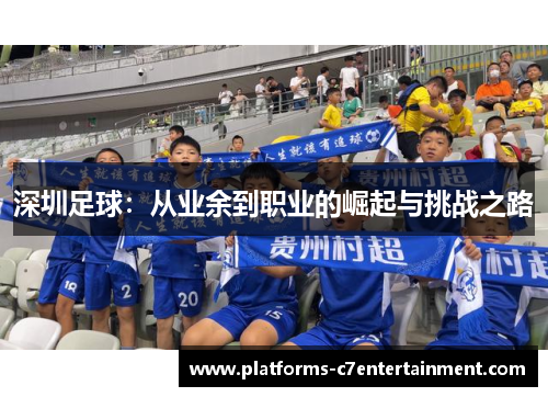 深圳足球：从业余到职业的崛起与挑战之路