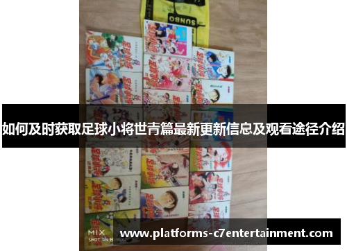 如何及时获取足球小将世青篇最新更新信息及观看途径介绍