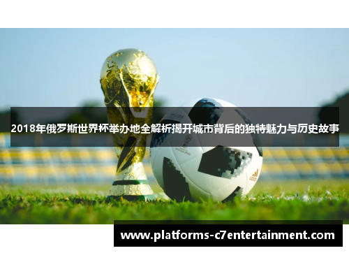 2018年俄罗斯世界杯举办地全解析揭开城市背后的独特魅力与历史故事