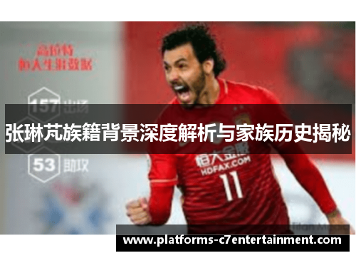 张琳芃族籍背景深度解析与家族历史揭秘