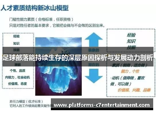 足球部落能持续生存的深层原因探析与发展动力剖析