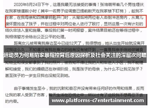 运动员为何易陷家暴指控背后原因探析及社会关注的深层次问题