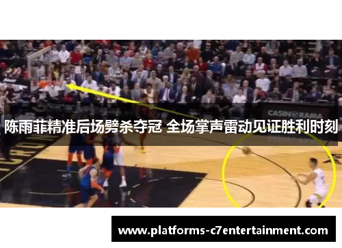 陈雨菲精准后场劈杀夺冠 全场掌声雷动见证胜利时刻