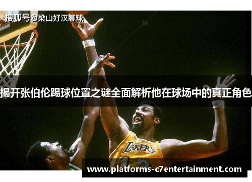 揭开张伯伦踢球位置之谜全面解析他在球场中的真正角色