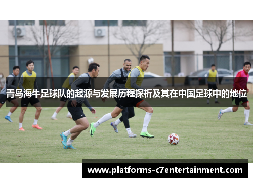 青岛海牛足球队的起源与发展历程探析及其在中国足球中的地位