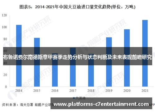 布鲁诺费尔南德斯意甲赛季走势分析与状态判断及未来表现前瞻研究 布鲁诺费尔南德斯意甲赛季走势分析与状态判断及未来表现前瞻研究
