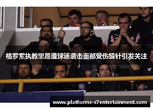 格罗索执教里昂遭球迷袭击面部受伤缝针引发关注