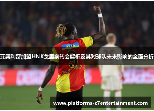 菲奥利奇加盟HNK戈里察转会解析及其对球队未来影响的全面分析